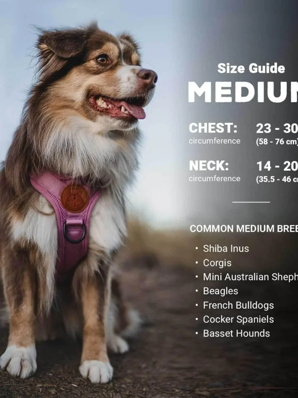 Wilderdog Lavender Padded Mesh Dog Harness — Adjustable Comfort